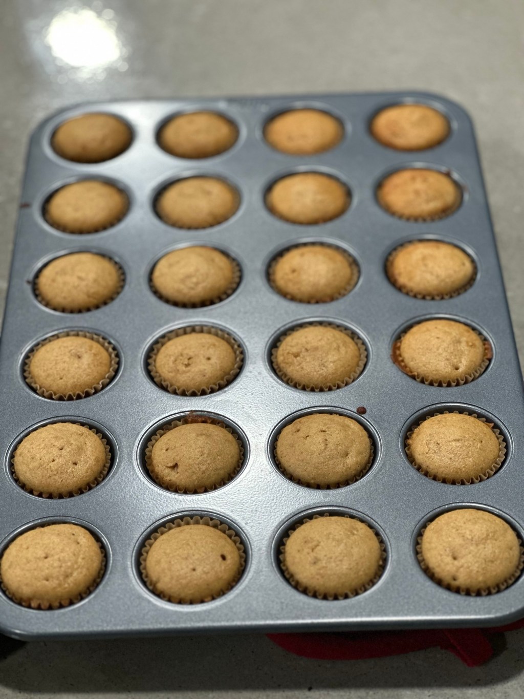 Protein-Packed Vanilla Mini Muffins