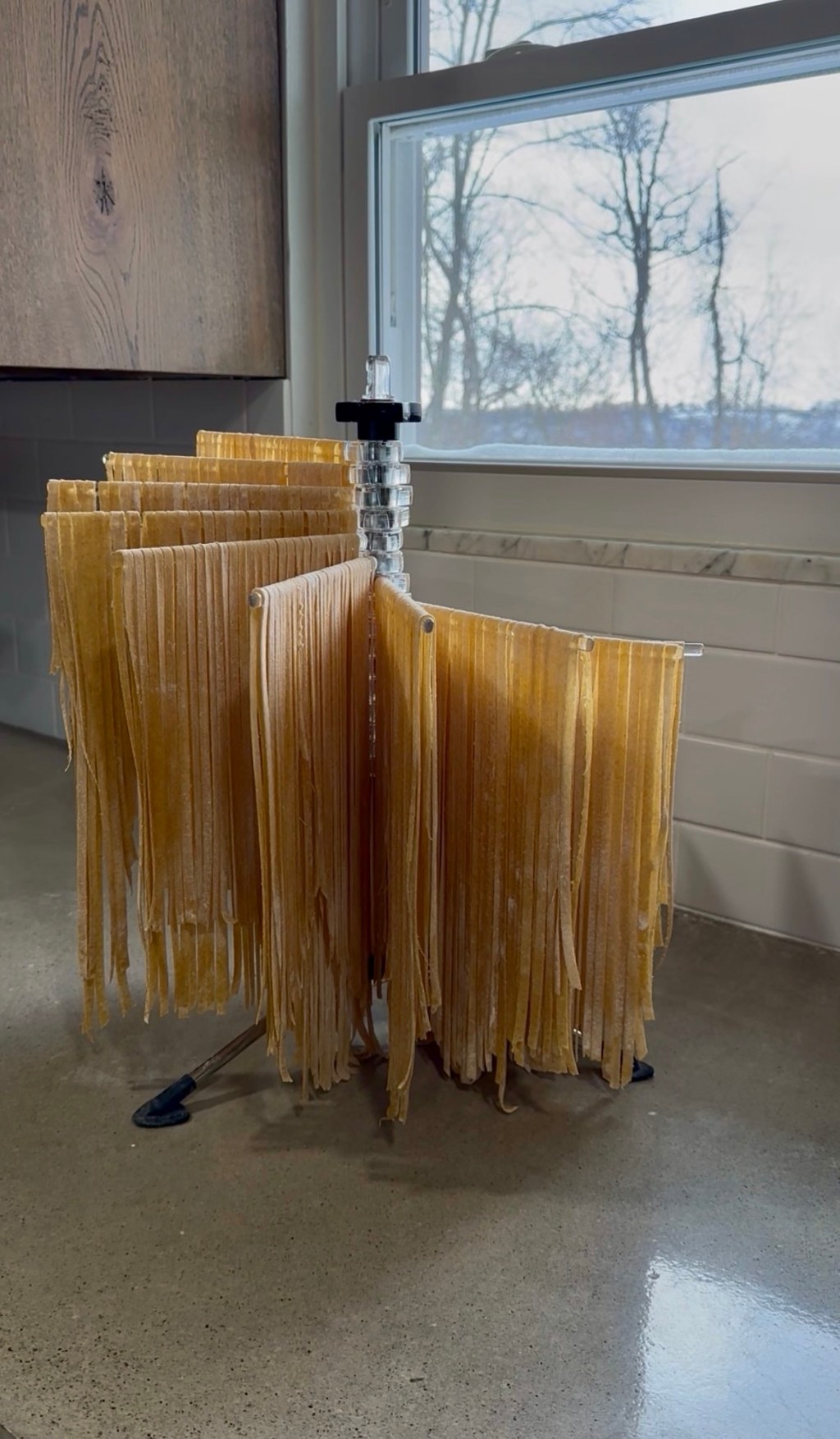 Fresh-Milled Sourdough Egg Noodles