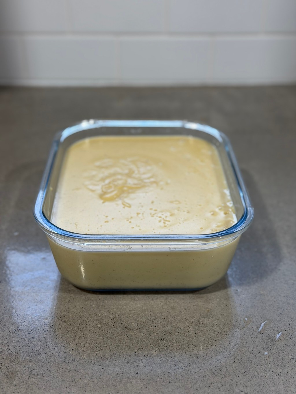 Homemade Vanilla Bean Pudding