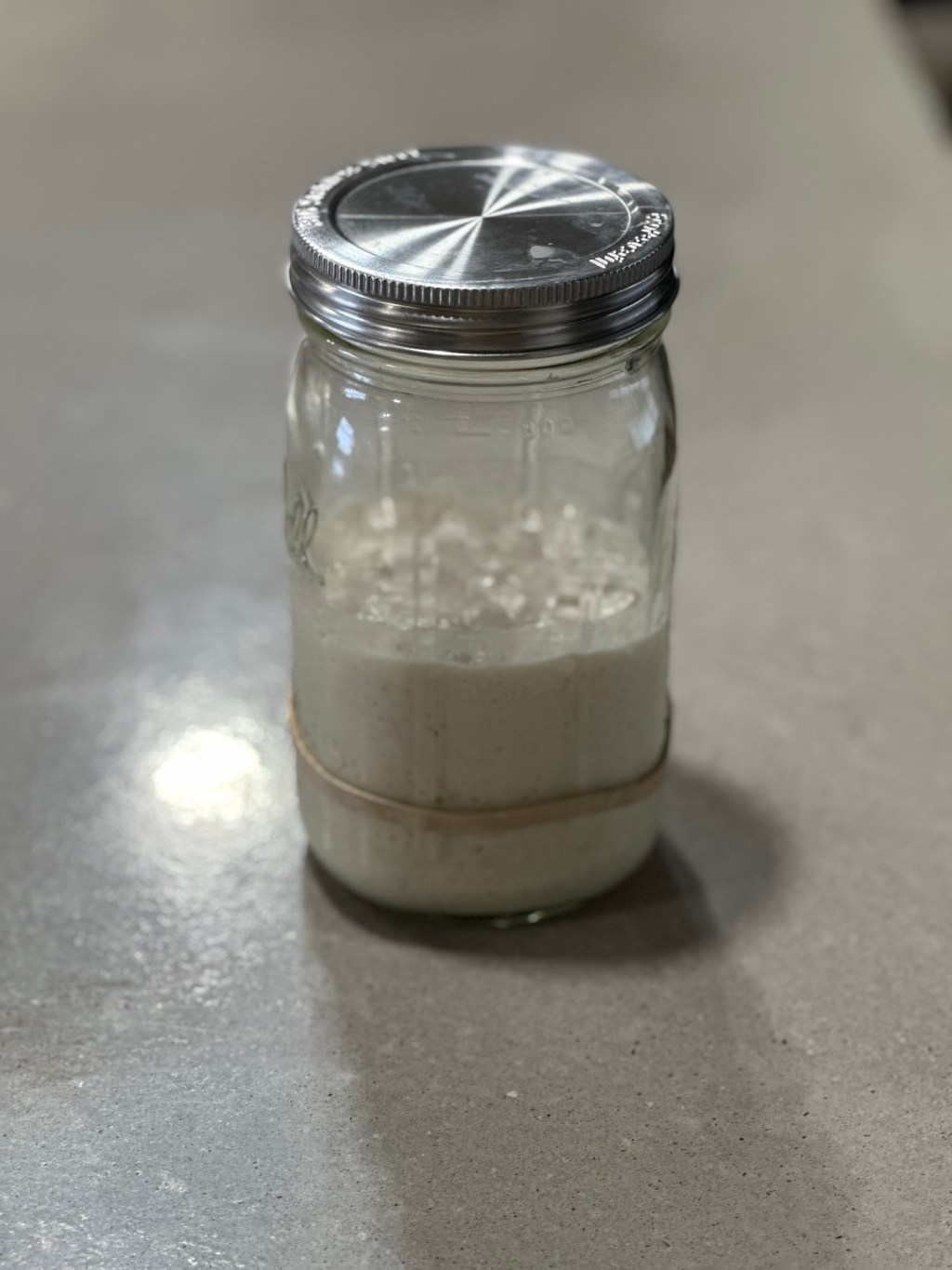 Keeping a Sourdough Starter Alive